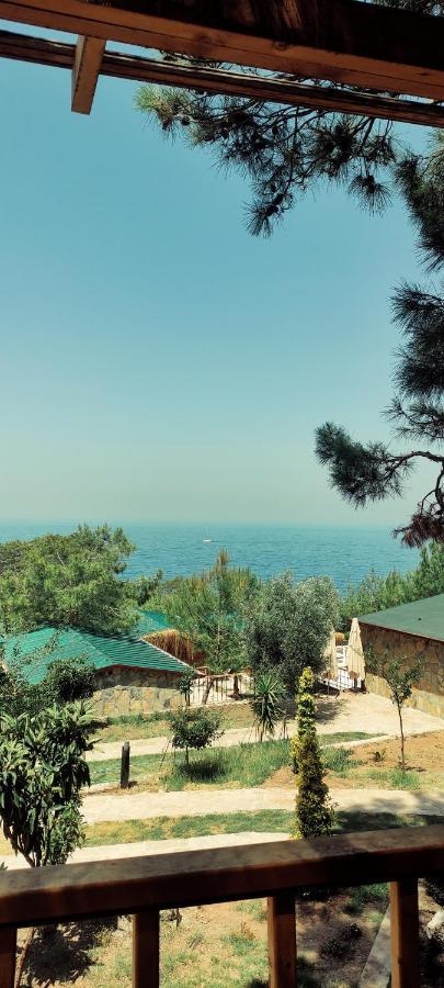 Rocas Roja Beach Hotel Faralya Exteriér fotografie