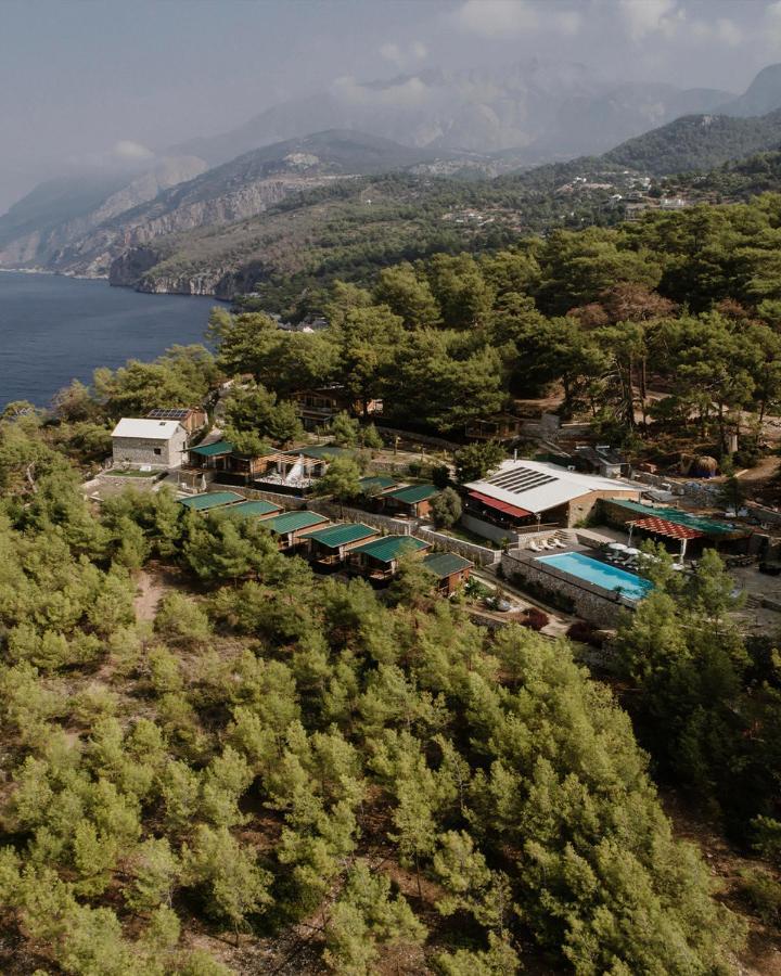 Rocas Roja Beach Hotel Faralya Exteriér fotografie