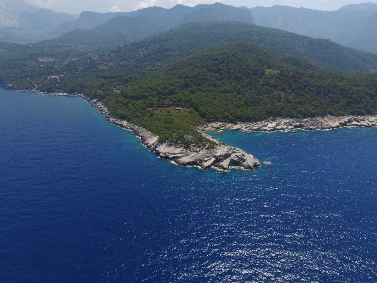 Rocas Roja Beach Hotel Faralya Exteriér fotografie